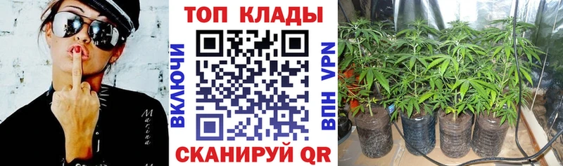 Где можно купить наркотики Кизляр Бутират Вейп ТГК A-PVP Меф Гашиш COCAIN