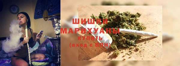 дмт Богданович
