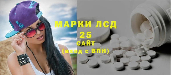 PSILOCYBIN Белокуриха
