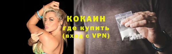 дмт Богданович