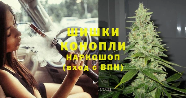 дмт Богданович