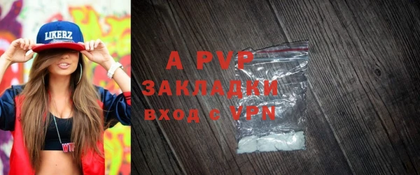 PSILOCYBIN Белокуриха