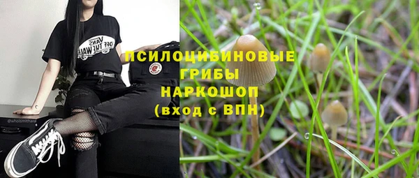 каннабис Беломорск