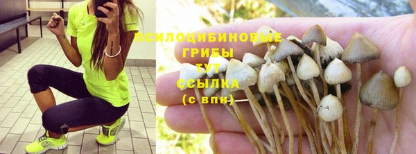метадон Белоозёрский
